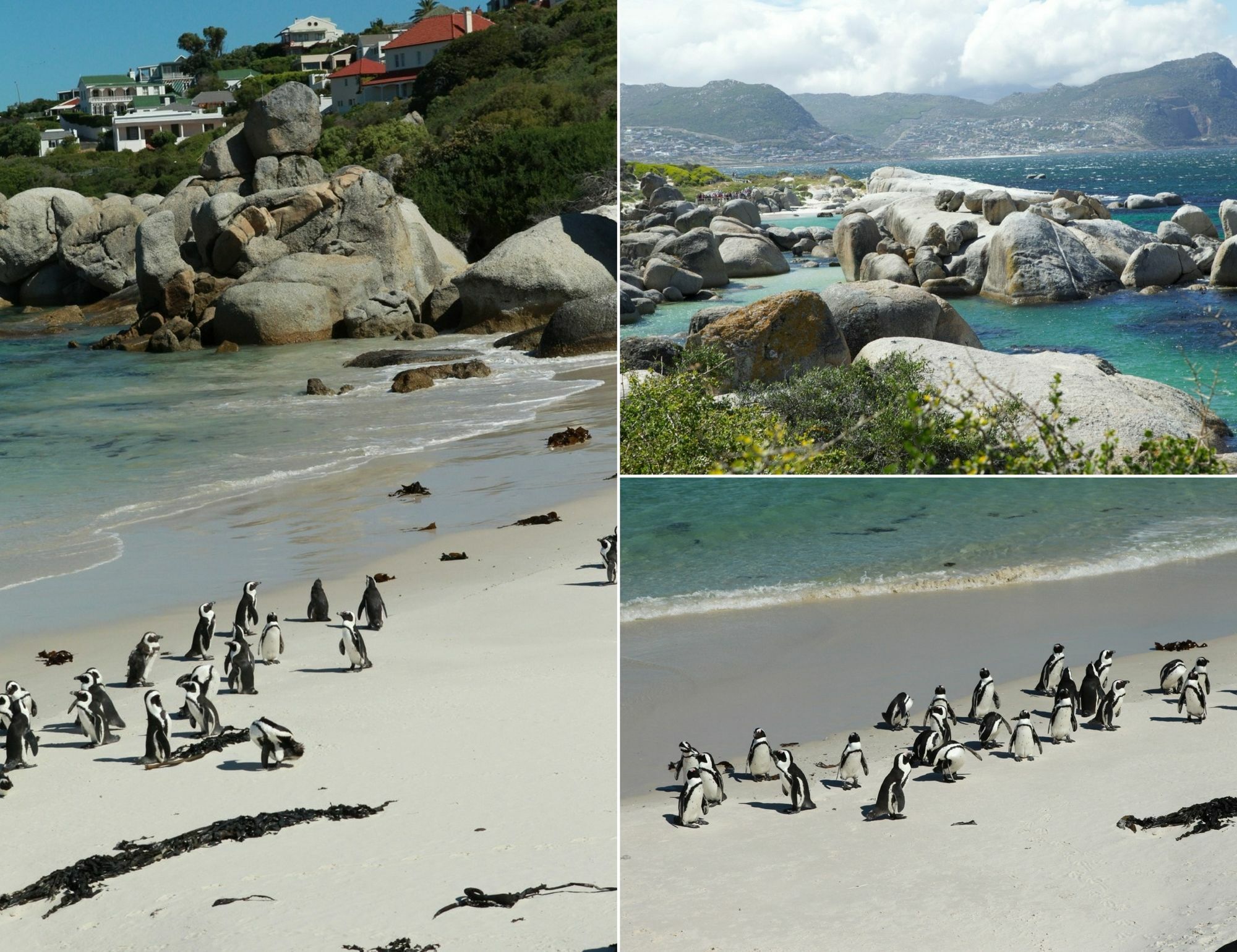 Mariner Guesthouse & Villa Simon's Town Bagian luar foto