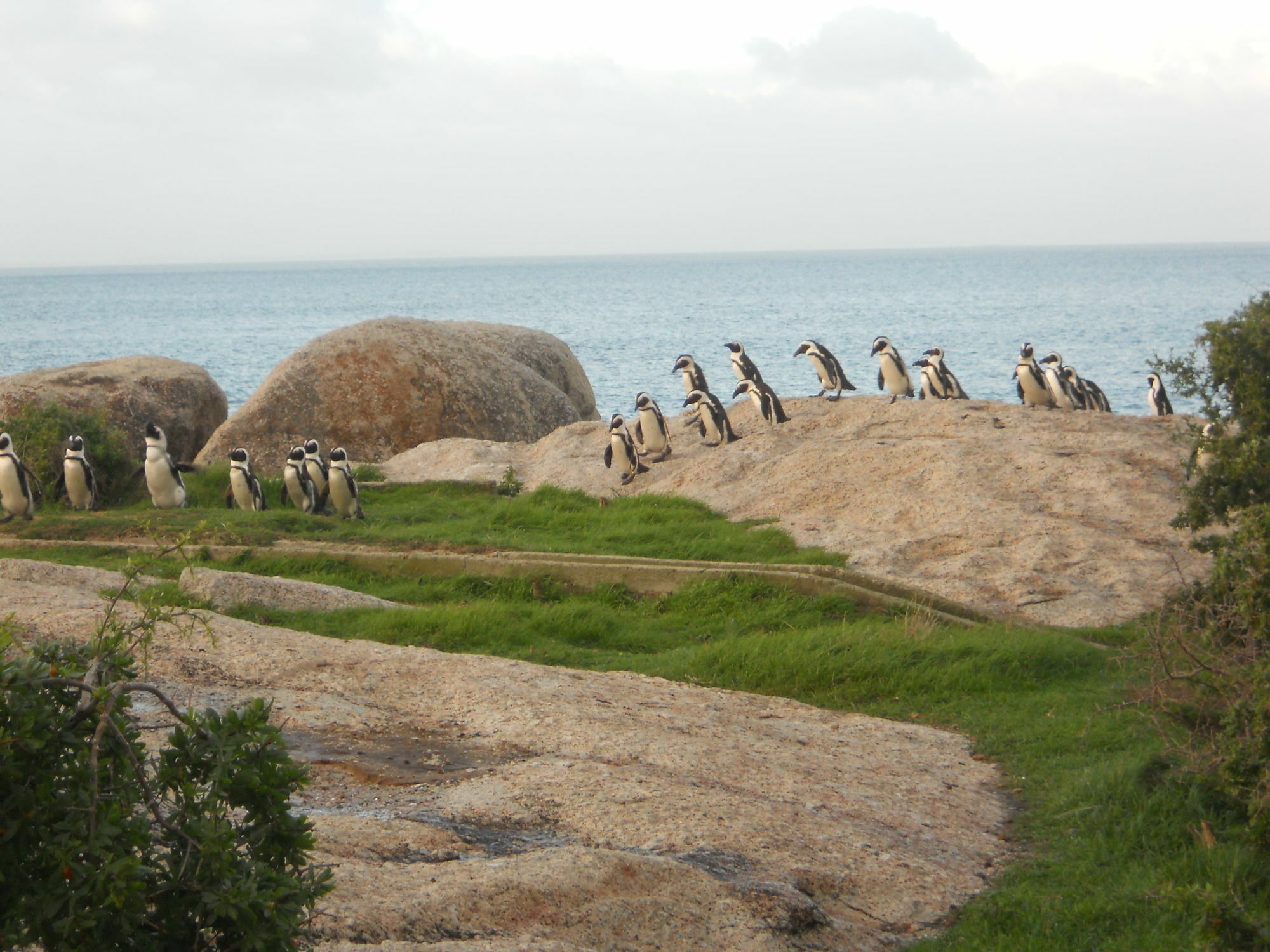 Mariner Guesthouse & Villa Simon's Town Bagian luar foto